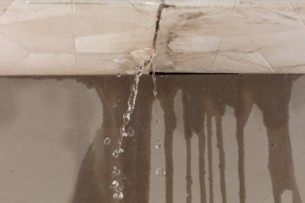 Professional Structural Drying technician working in Somonauk, IL